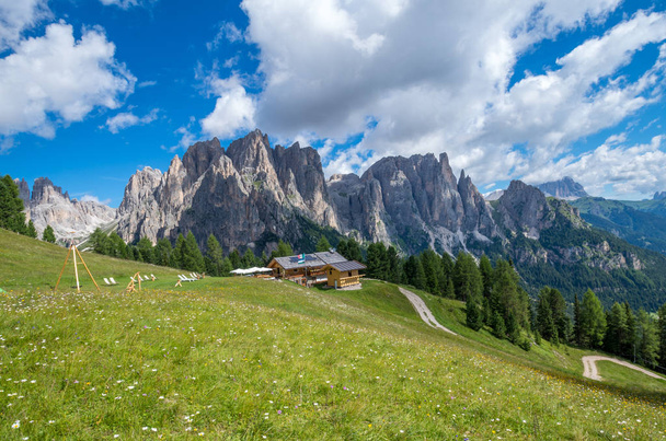 Catinaccio mountain massif as seen from the road to Passo Costalungo, Dolomites, Vigo di Fassa, Val di Fassa, Trentino, Alto Adige, South Tyrol, Italy - Photo, Image