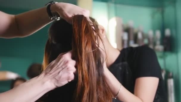 Καλλιτέχνης μακιγιάζ, κομμωτήριο που εργάζεται με τον πελάτη στο σαλόνι ομορφιάς, χτενίζει τα μαλλιά - Πλάνα, βίντεο
