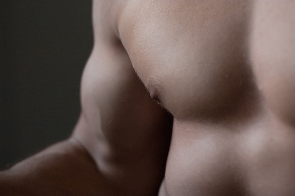 torso muscular
 - Foto, Imagen