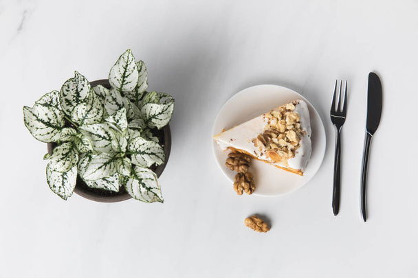 Çatal ve bıçak bitki pot yakınındaki plaka üzerinde ceviz kek  - Fotoğraf, Görsel