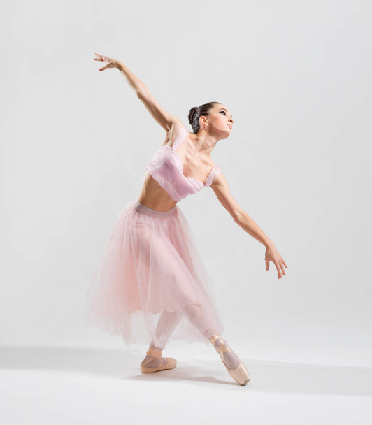 Ballerina (on grey version) - Valokuva, kuva