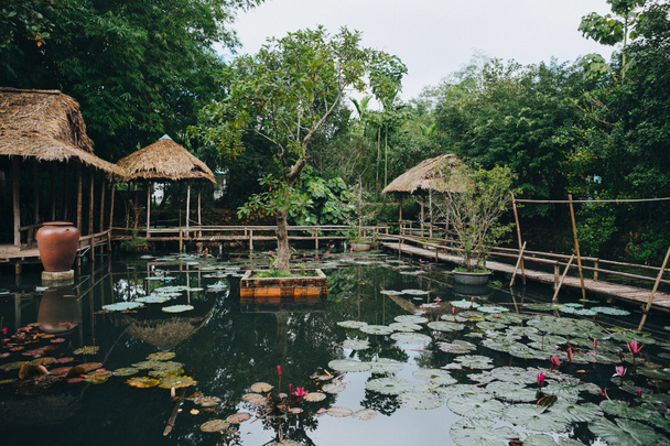 wooden footbridge and beautiful lotus flowers in pond in Hue, Vietnam   - Foto, Imagen