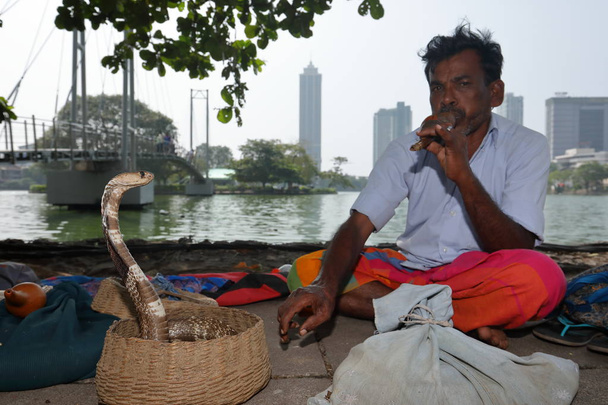 Snake charmer z Colombo Sri Lanka - Zdjęcie, obraz