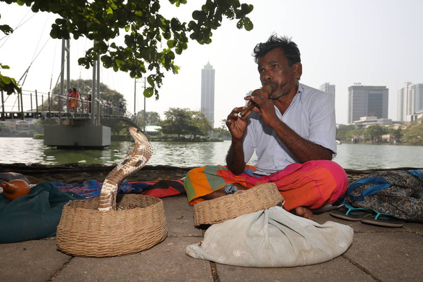 Snake charmer z Colombo Sri Lanka - Zdjęcie, obraz