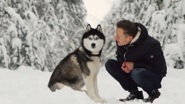 Een man knuffels zijn Siberische husky in het forest. In de achtergrond bomen in de sneeuw. Trots en geluk in de ogen. Wandelen met de hond.. - Video