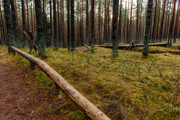 ラトビアの古い木製 trenshes - 写真・画像