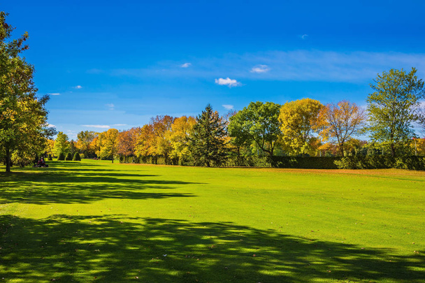 Феноменально красивый парк с красными, оранжевыми и зелеными осенними деревьями
.  - Фото, изображение
