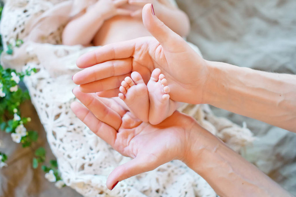 Детские лапки в руках матери. Tiny Newborn Baby 's feet on female Sh
 - Фото, изображение