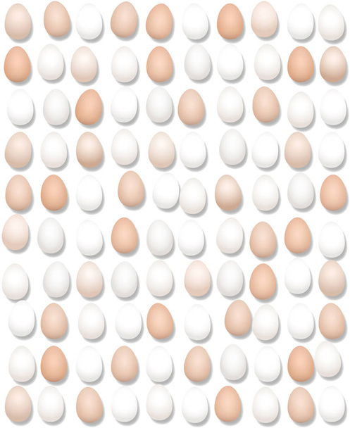 Hundred Eggs Lined Up - Vector, Image