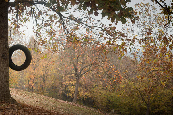 Φθινόπωρο, φθινόπωρο δασικό τοπίο με μια μαύρη κούνια ελαστικών κρέμεται από μια βελανιδιά. Βιαστικό, εποχιακό φόντο Ευχαριστιών, με copyspace.  - Φωτογραφία, εικόνα