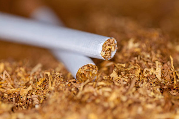 deux cigarettes reposent sur du tabac à tubes bruns
 - Photo, image