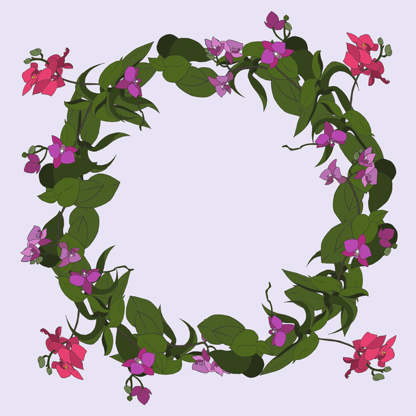 Wreath of delicate orchids painted by hand - Vector, Image