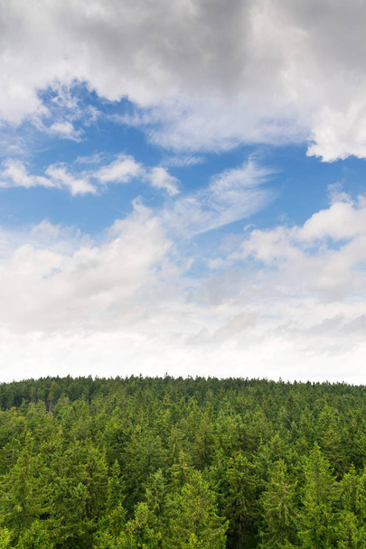 Όμορφο καλοκαίρι δάσος θέα από Pajndl επιφυλακή Πύργος συννεφιασμένο ουρανό αντίγραφο χώρου, Tisovsky όρος Krusne Hory, Βοημία, Τσεχική Δημοκρατία - Φωτογραφία, εικόνα