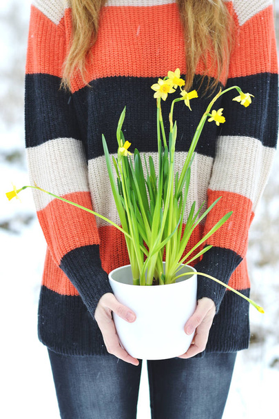 Donna in possesso di vaso di fiori bianchi con narciso inverno maglione foresta innevata in attesa di primavera
  - Foto, immagini