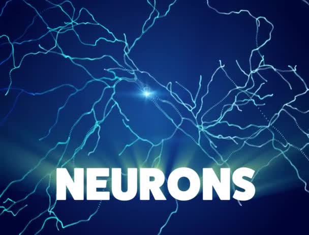 Neuronas, sinapsis, circuito de red neuronal de neuronas, cerebro, enfermedades degenerativas, Parkinson
, - Metraje, vídeo