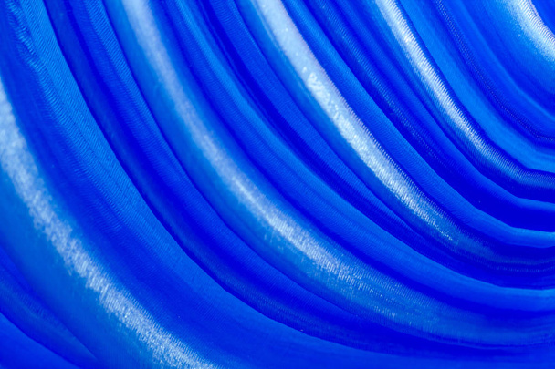 abstraktní křivky modré pozadí - Fotografie, Obrázek