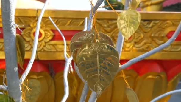 Artificial tree with golden leaves on which wishes and dreams are written addressed to the Buddha - Footage, Video
