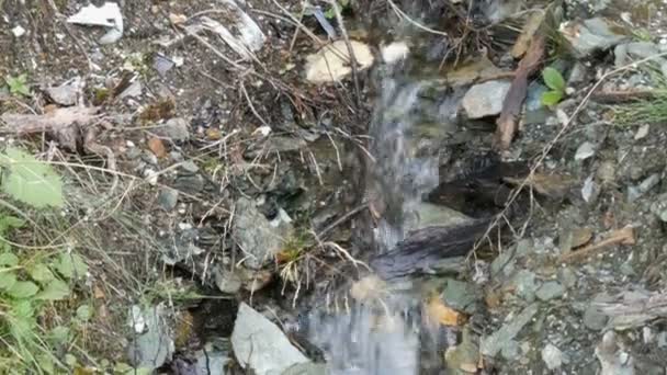 Κοντινό πλάνο του ποταμού στο δάσος, λεπτομέρεια του ρέοντας νερού. Καθαρού βουνού ρυάκι με καθαρό νερό που ρέει μέσα από μια καταπράσινη έκταση - Πλάνα, βίντεο