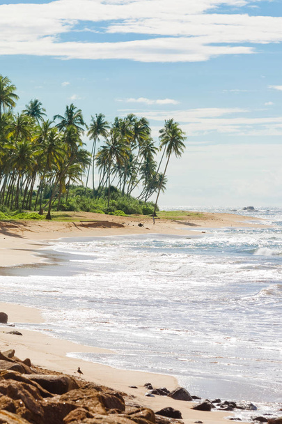 Srí Lanka-i, Rathgama - békés, természetes tengerparti táj Rajgam - Fotó, kép