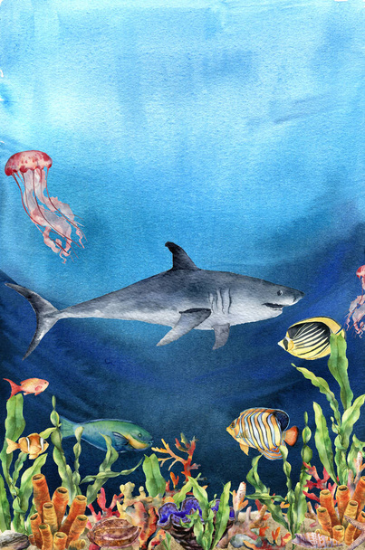Watercolor coral reef border and shark. Hand painted underwater illustration with laminaria branch, fish, tridact, mollusk and shell isolated on ocean background. Nautical illustration for design. - Photo, Image