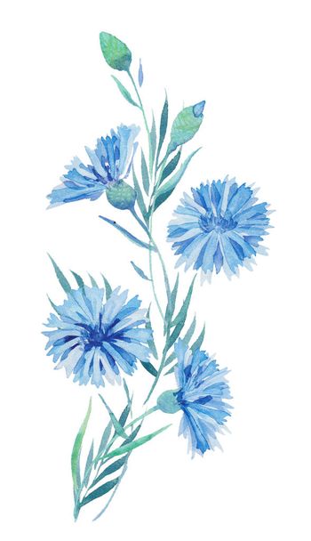 ακουαρέλα απεικόνιση, ένα μπουκέτο μπλε λουλούδι, ένα κλαδί από κενταύριο, αγριολούλουδα με ζωγραφισμένα φύλλα. Για εκτύπωση Ευχετήριες κάρτες, προσκλήσεις, φόντα, Σχεδιασμός υφασμάτων. - Φωτογραφία, εικόνα