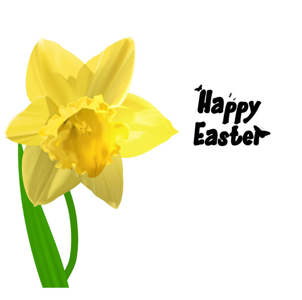 Ilustración de Pascua vector amarillo Narciso
 - Vector, imagen