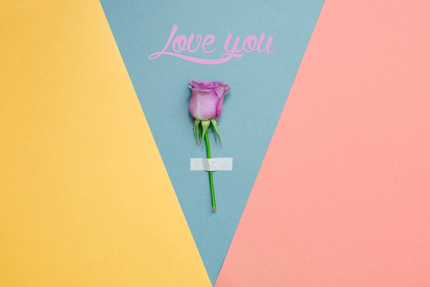 rose on a bright pastel background - Fotografie, Obrázek