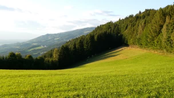 Avusturya Alplerinde, yemyeşil yeşil çim ile çayır görünümünü muhteşem dağ manzara - Video, Çekim