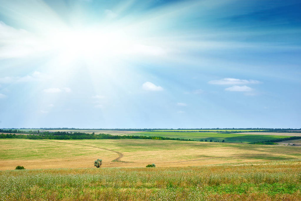 красивий весняний пейзаж, зелене поле і яскраве хмарне небо
 - Фото, зображення