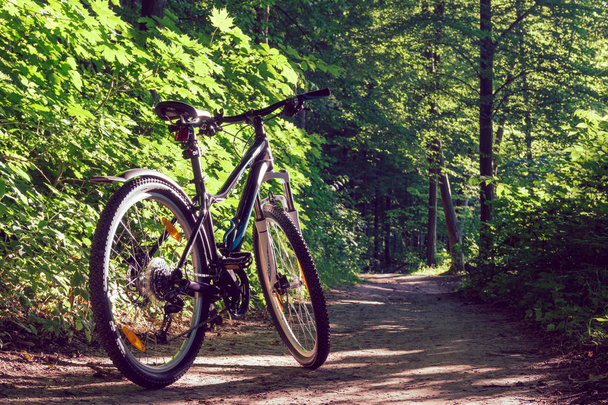 Female mountain bike in a forest - Zdjęcie, obraz