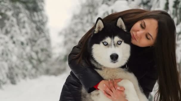 Een mooi meisje Siberische husky knuffels in de natuur en is betrokken bij de opleiding. Sterke en liefdevolle knuffels - Video