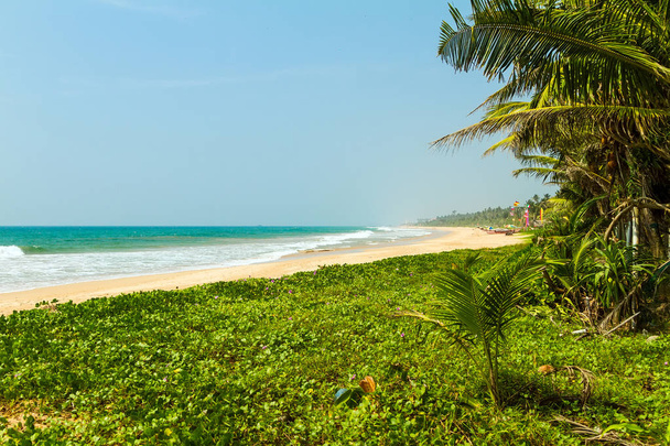 Bentota beach. Sri Lanka - Fotografie, Obrázek