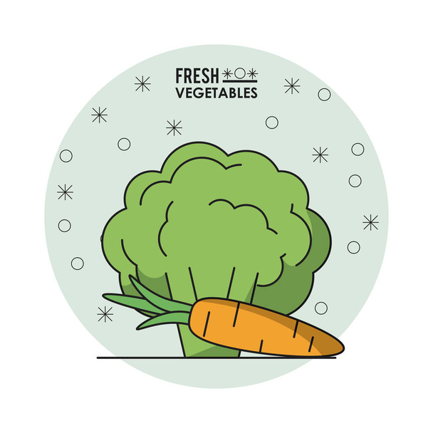 cartel colorido de verduras frescas con coliflor y zanahoria
 - Vector, Imagen