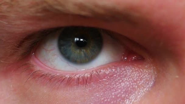 Close-up van een mannetjes-oog - Video