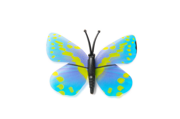 Mariposa colorida aislada sobre fondo blanco
 - Foto, Imagen