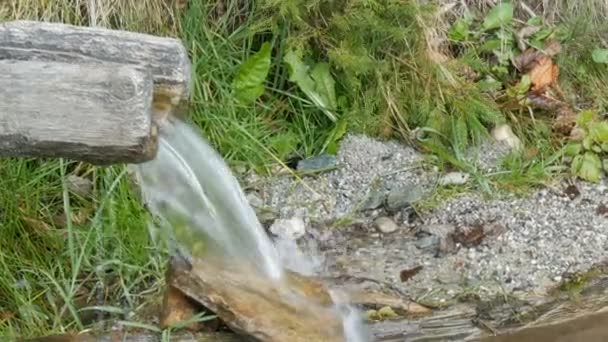 森の川のクローズ アップは、水の流れるの詳細。澄んだ水と純粋な渓流が流れる緑豊かなエリア - 映像、動画