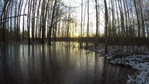Winter zonsopgang boven de vijver en bos, time-lapse - Video