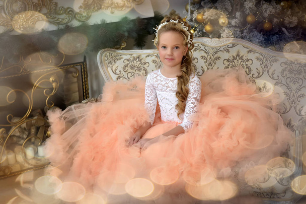 portrait of a princess in a lush peach dress - Valokuva, kuva