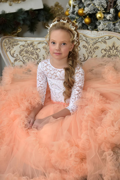 portrait of a princess in a lush peach dress - Foto, afbeelding