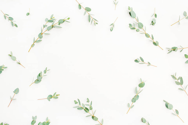 Frame of eucalyptus branch pattern on white background. Flat lay, top view. - Foto, Bild