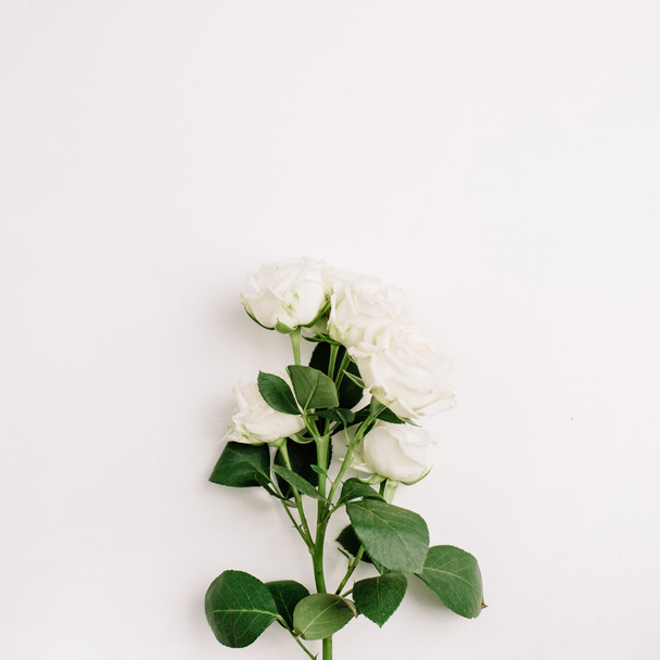 White rose flowers branch on white background. Flat lay, top view. Minimal spring flowers composition. - Φωτογραφία, εικόνα