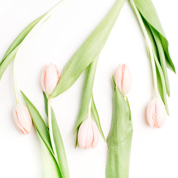 Flores de tulipán rosadas aisladas sobre fondo blanco. Asiento plano, vista superior. Concepto floral mínimo
. - Foto, imagen