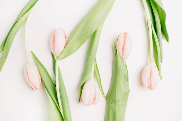 Flores de tulipán rosadas sobre fondo blanco. Asiento plano, vista superior. Concepto floral mínimo
. - Foto, Imagen
