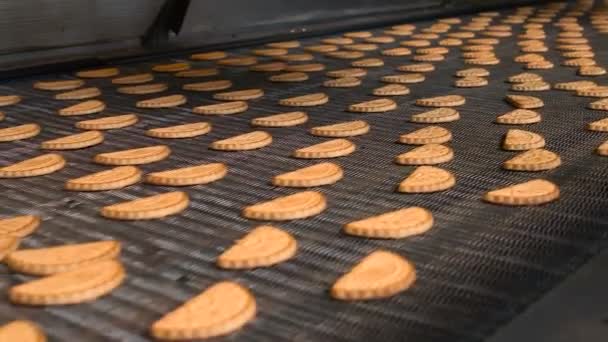 Biscoitos de biscoito recém-assados deixam o forno
. - Filmagem, Vídeo