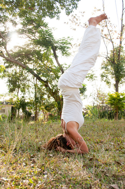 Maestro di Yoga femminile
 - Foto, immagini