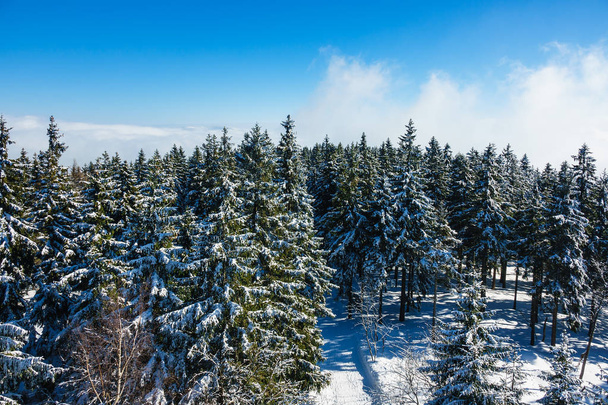 Invierno con nieve en las montañas gigantes, República Checa - Foto, Imagen