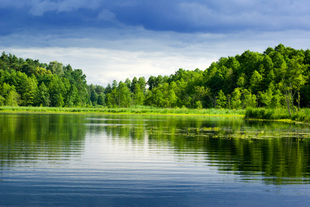 lac et forêt. - Photo, image