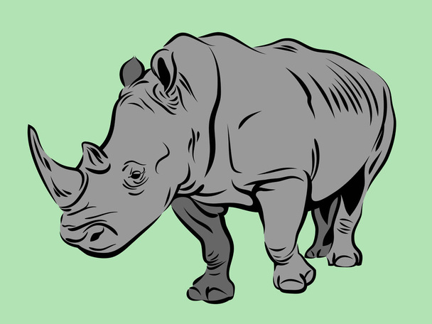 Immagine vettoriale di un rinoceronte
 - Vettoriali, immagini