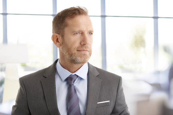 Portrait of thinking financial businessman looking away while standing at the office.  - Foto, afbeelding