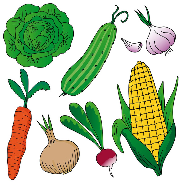 Vegetables on white background - Vector, Image